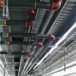 vaizdas 2025 12 03 180035084