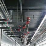 vaizdas 2025 12 03 181810311