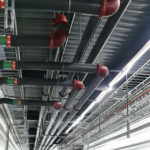 vaizdas 2025 12 03 181833659