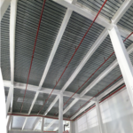 vaizdas 2025 12 03 181913570