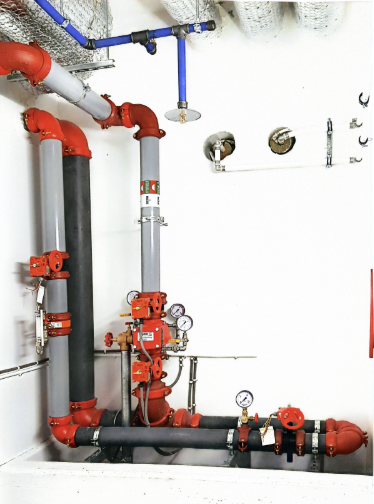 vaizdas 2025 12 10 132829624